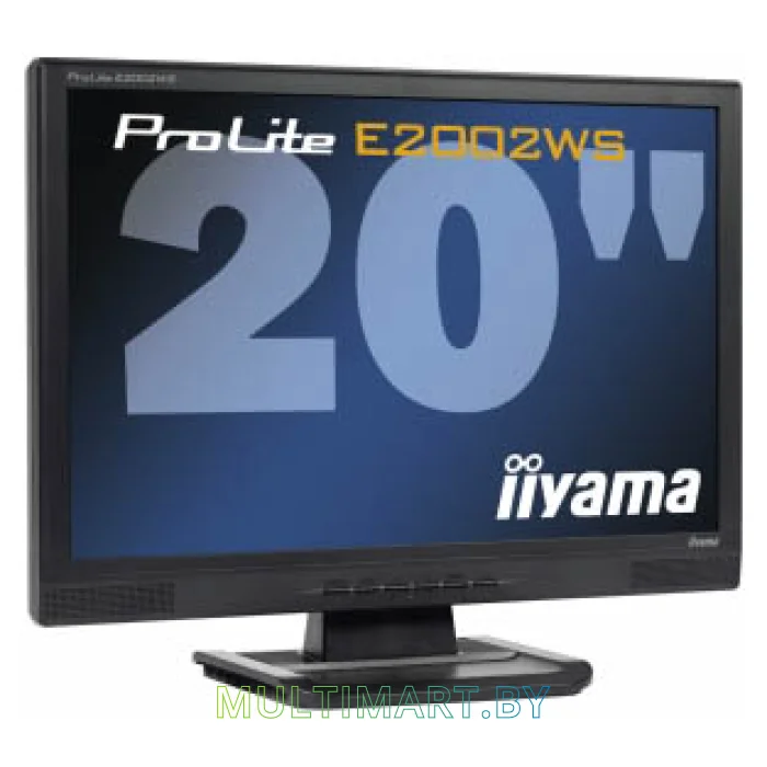 Монитор Iiyama ProLite E1980SD-B1 B